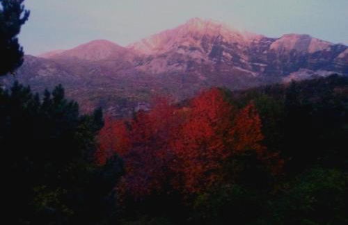 La Borda de Garbi - Photo 21