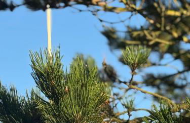 Ocean-View, Holiday Apartment Sylt - Foto 38