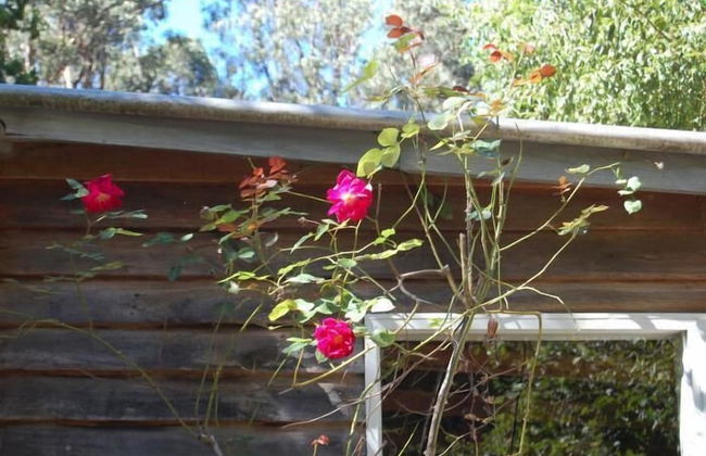 Allenvale - Photo 10