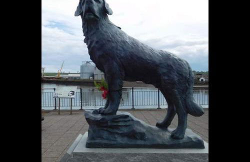 The Thin Seagull 4 Beacon Terrace Ferryden - Photo 41