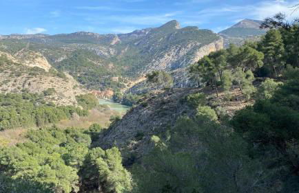 Blue Lady by the Sea - Photo 54