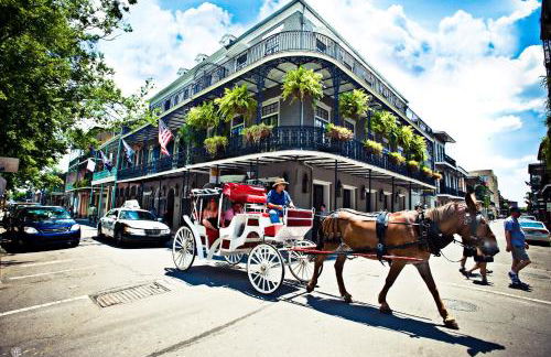 Esplanade Magic 4 - Foto 19