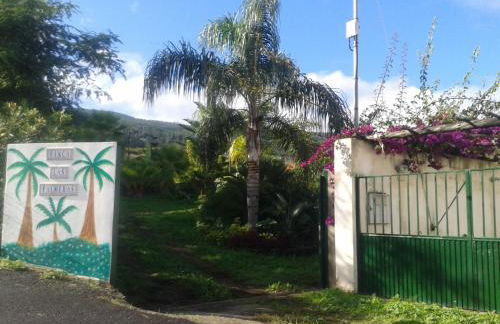 Finca las Palmeras - Foto 9