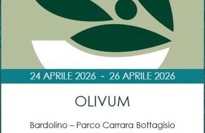 Ca' Celeste sul Garda - Foto 38