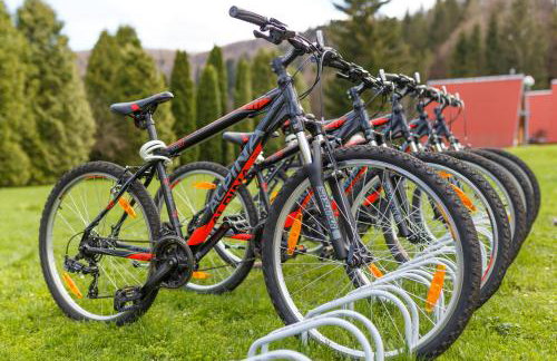 Perełka Bieszczady Domki - Photo 57