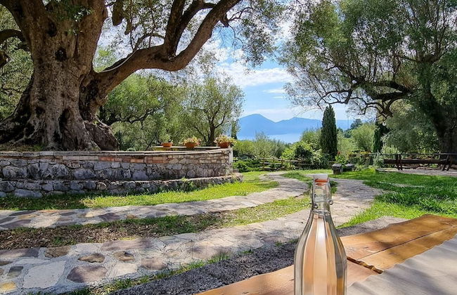 Pie' d'Ulivo - Foto 34