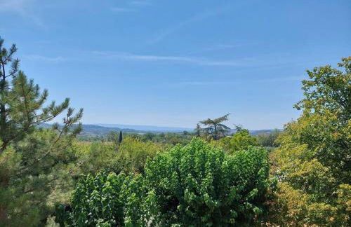 Maison de César - Photo 8