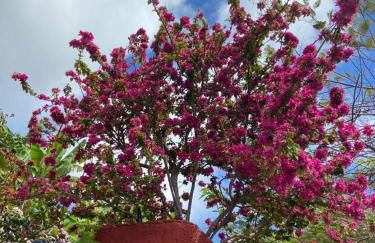 Los Corralitos - Foto 6