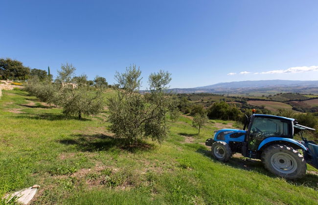 Villa Ambretta in Campagnatico - Foto 57