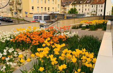 Stadtwohnung mit Garten - Foto 18
