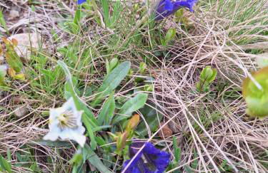 Apartment Romana - Foto 14