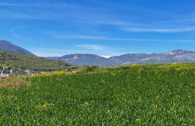 GArt House Holiday Home - Foto 15