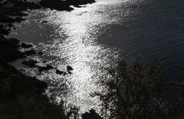 le verger des naiades - Foto 42