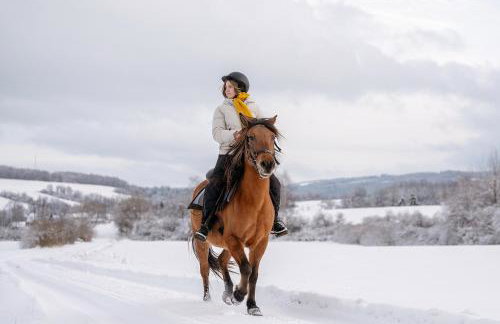 Przystanek Ropienka Leśniczówka - Foto 77