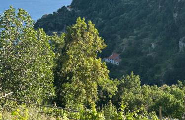 Agriturismo Orrido di Pino - Foto 46