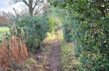 Cosy Apartment in Fettercairn - Foto 15