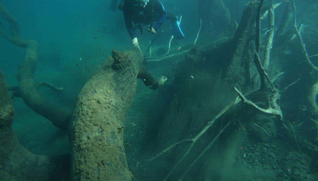 Buceando bajo las aguas del Correntoso