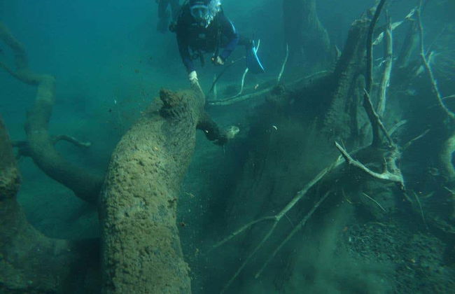 Diving in Correntoso Lake - Foto 4