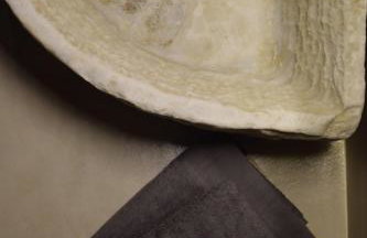 Villa Prasini - Foto 24