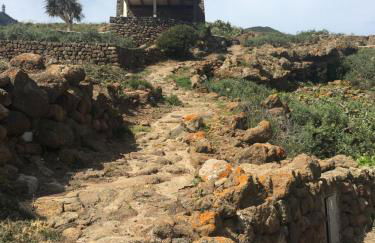 Dammusi IL SERRALH -Pantelleria- - Foto 26