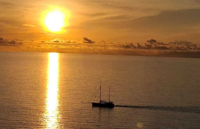 Tropical Secrets Holiday Apartments - Foto 32