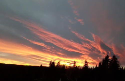 Ferienwohnung Haus Finkbeiner - Foto 15