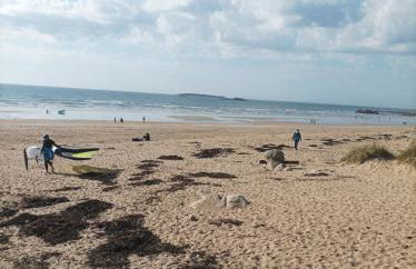 Maison 400ml a pied de la plage - Foto 13