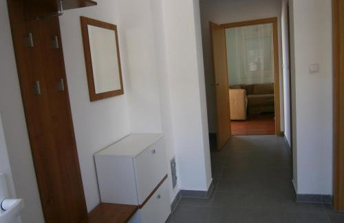Zobić Family Apartments - Photo 47