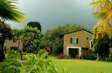 la cana dolce - Foto 11