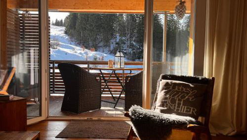 Stube9 am Feldberg, direkt an der Skipiste, Ski in-Ski out - Foto 4