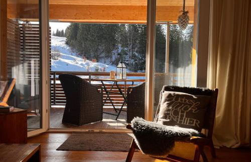 Stube9 am Feldberg, direkt an der Skipiste, Ski in-Ski out - Photo 4