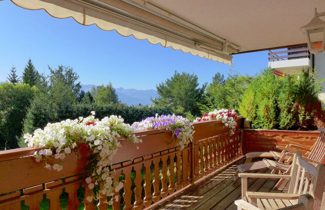 Soldanella 2 - Foto 1