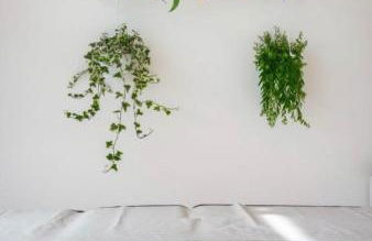 Wellness Holiday Home - Self Check-in & Access - Photo 21