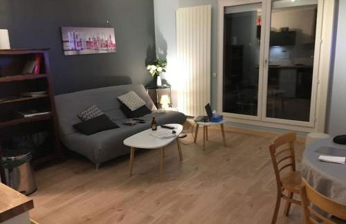 Appartement en Rez de jardin climatisée 2 pièces-cuisine avec terrasse et jardin - Foto 11