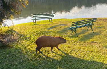 Edificio na rua do Parque das Aguas - Foto 17