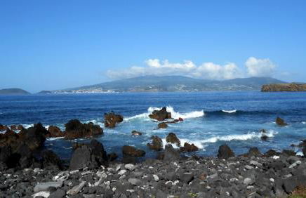 XA Apartments RRAL-579 - Photo 32