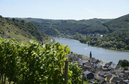 Stiftsherrenhaus - Foto 75