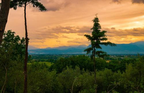 Casa Vacanza Capozzoli - Foto 5