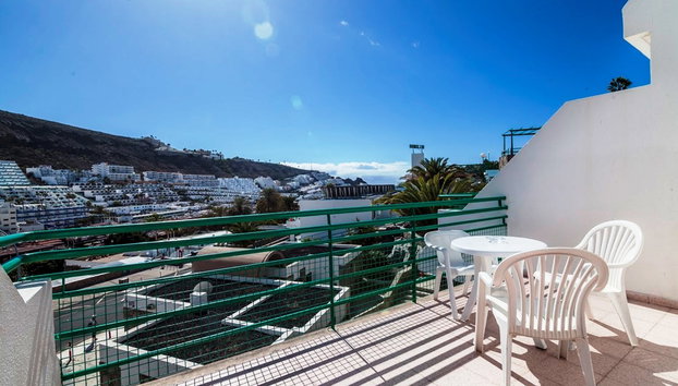 Heliomar Palmeras - Foto 2