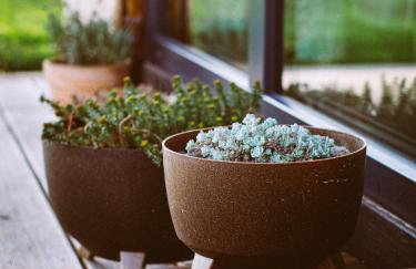 Przewietrzona Głowa - Foto 48