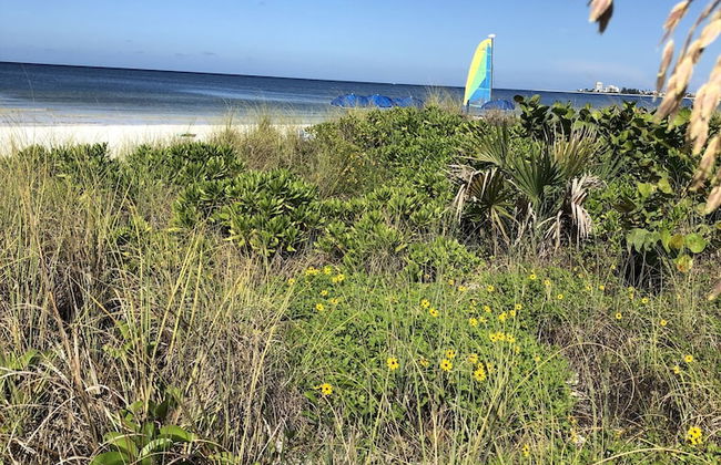 Siesta Palms By the Beach - Photo 65