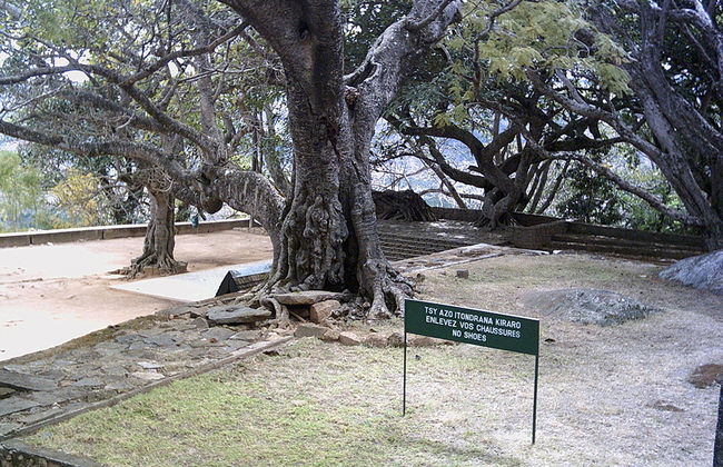 Ilafy and Ambohimanga Hill Tour - Photo 2