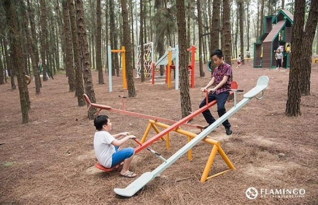 Villa Flamigo Dai Lai Chinh Chu - Photo 79