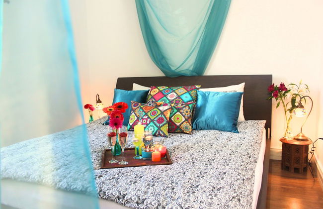 Maltese Maltese - Foto 31