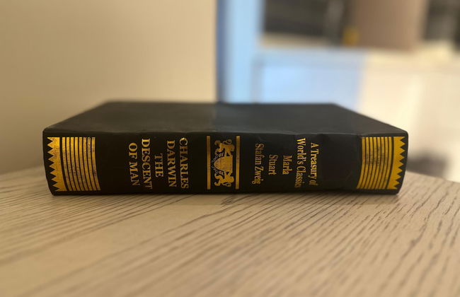 The Opus Luxury Residences - Foto 80