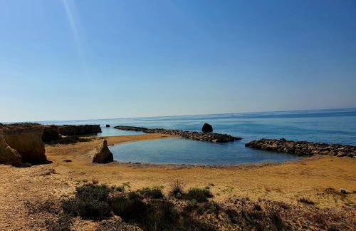 Agave Villa's Fronte Mare - Foto 40