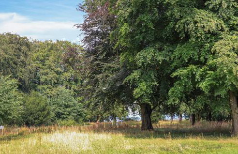 4 Bedroom Amazing Home In Klausdorf - Foto 28