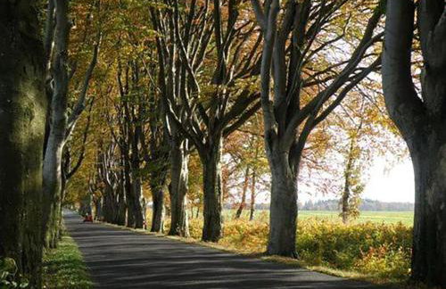 Saunowisko w Krągu - domy Niebieski i Żółty - Foto 22