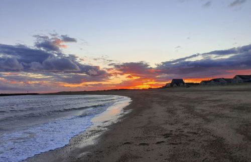 The Tiny Sea Gem - Foto 10