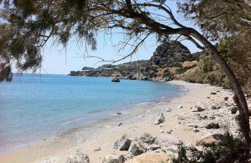 Mini Villas Green - Foto 36